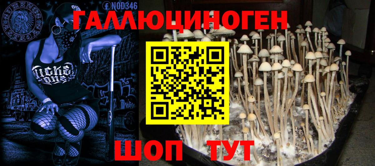 Галлюциногенные грибы мухоморы Новочеркасск