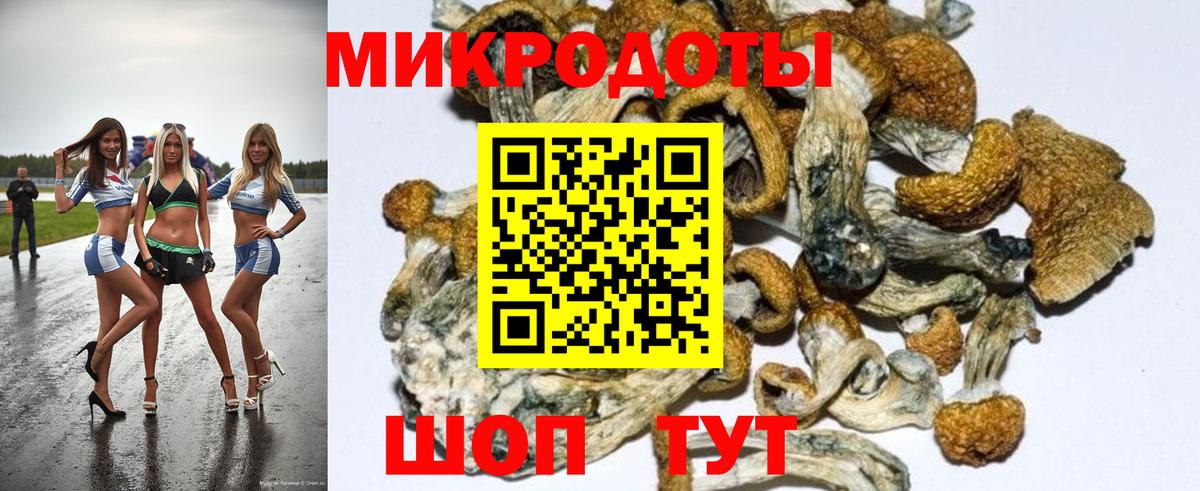 Новочеркасск  Галлюциногенные грибы мицелий  Вход с VPN 